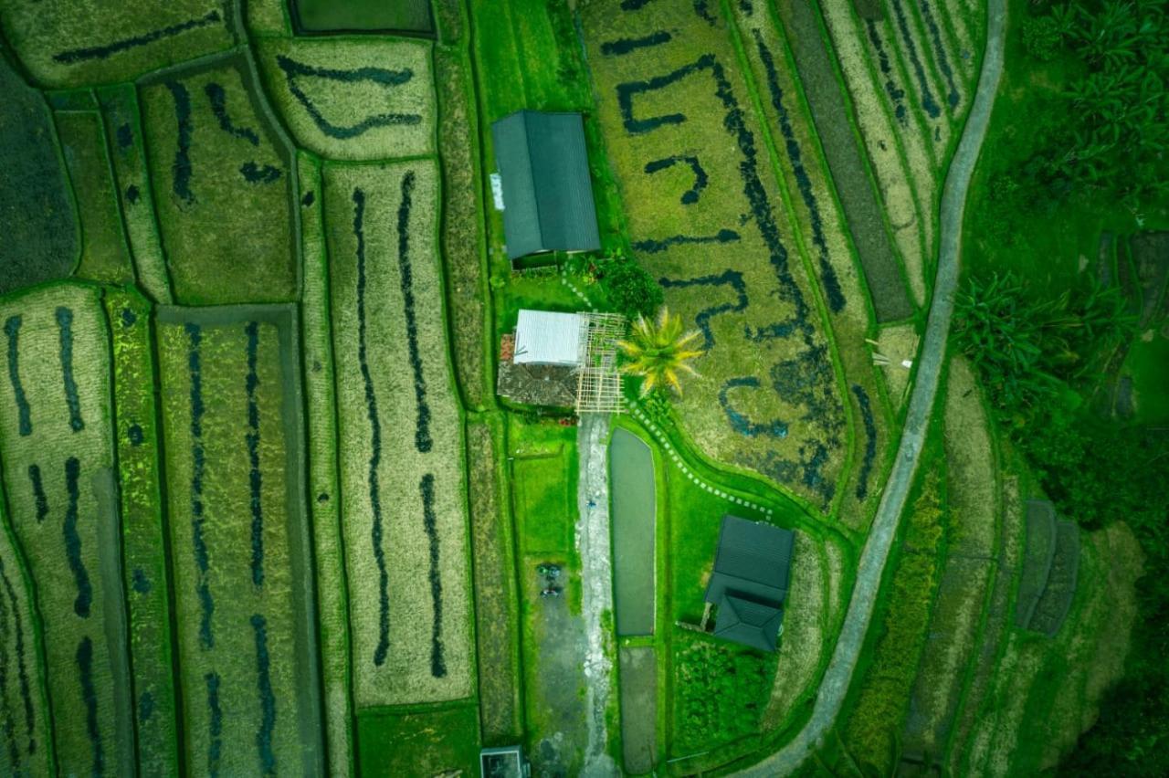Kubu D'Ume Homestay Джатілувіг Екстер'єр фото